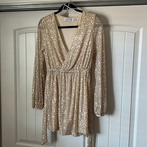 Petal and Pup Glitz Dress